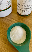 Ácido Giberélico Ga3 90% TC puro